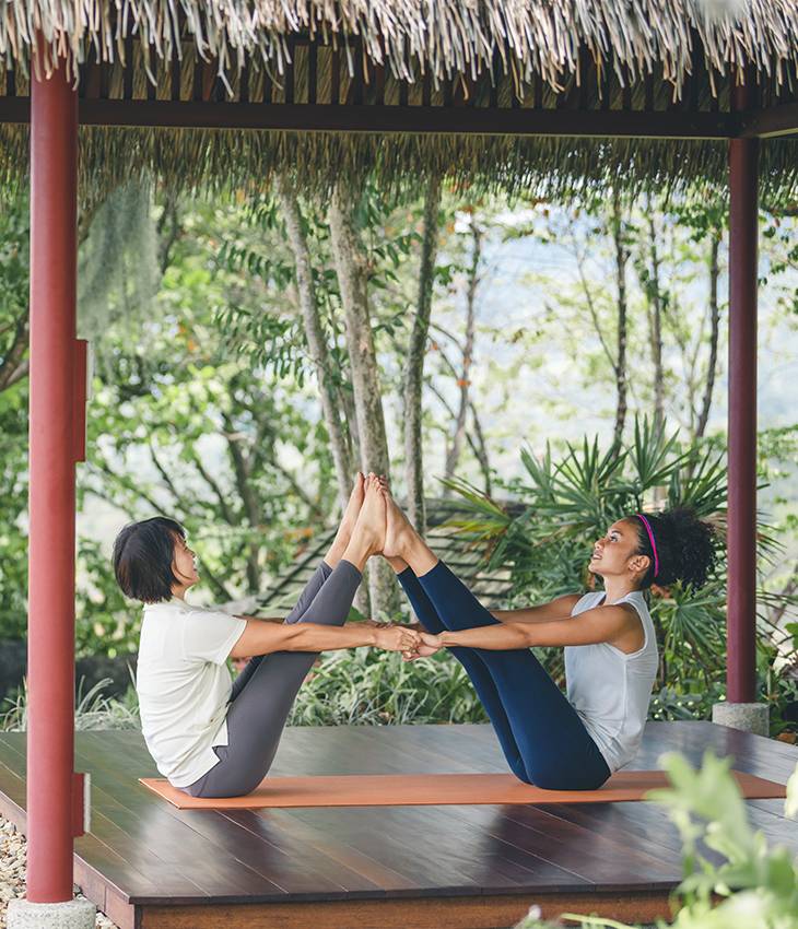 The Path to Dharma Yoga with Sri Dharma Mittra