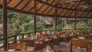 อาหารดีท็อกซ์ออร์แกนิคที่เขตรักษาพันธุ์สัตว์ป่าเพื่อสุขภาพ