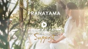 Pranayama นั่งสมาธิในเกาะสมุยประเทศไทย