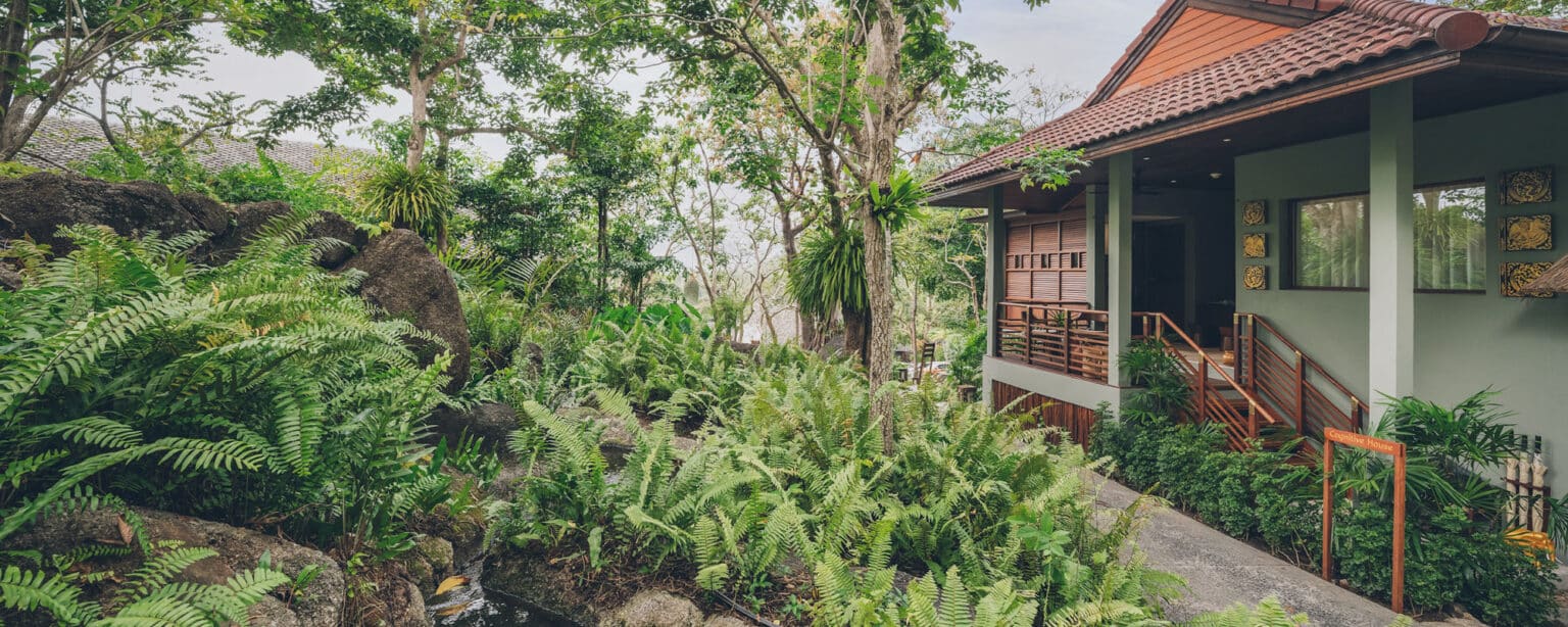 Cognitive Enhancement Meditation with Breathwork | Kamalaya - Home Renovation Ideas For Improved Cognitive Function