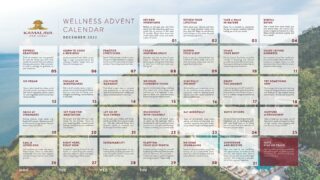 To help you end the season on a high and create a positive change in the new year, our expert wellness team have compiled their best wellbeing tips and advice to take you through December. Use our special Wellness Advent Calendar for a full month of inspiration. To make it challenging, share it with your loved ones or invite your friends to join in the fun. Stay motivated and on track with your wellness goals in the new 2023 year.Download the PDF version (Link in Bio)#KamalayaKohsamui #WellnessSanctuary #newyearcountdown #WellnessRetreat #newyearresolution